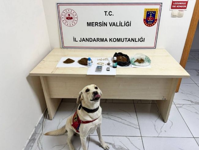 Mersin'de uyuşturucu operasyonu: 5 şüpheli tutuklandı