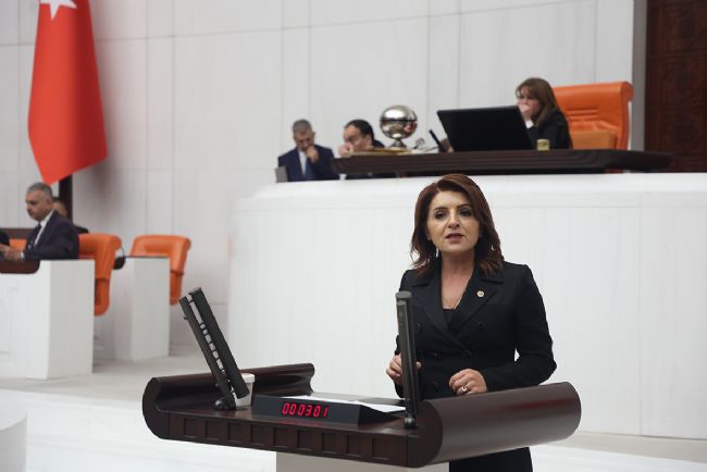 CHP’li Kış; “Mersin’in değerleri göz ardı ediliyor”