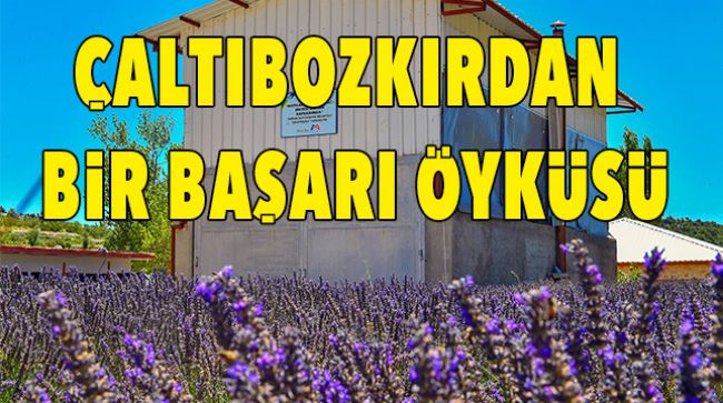 8 ÜNİVERSİTE ÖĞRENCİSİNE BURS İMKÂNI SUNDULAR
