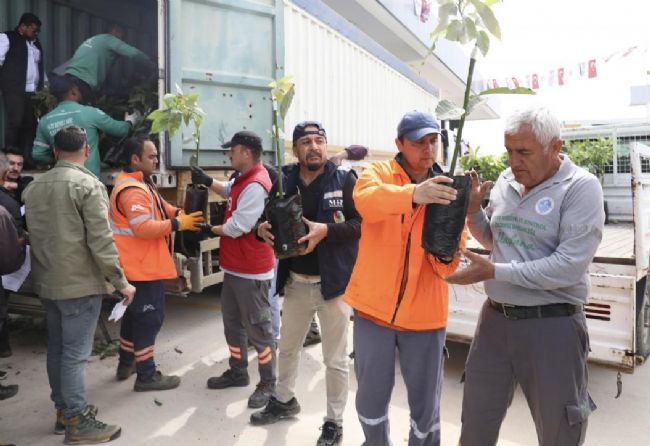 Mersin'de üreticiye avokado fidanı ve destek dağıtımı
