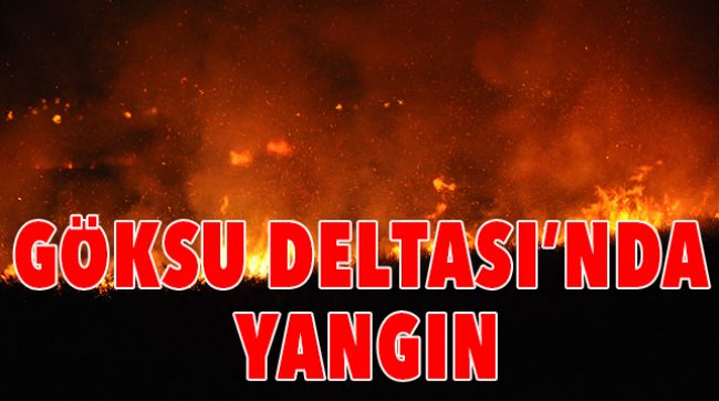 KORUMA ALTINDAKİ GÖKSU DELTASINDA YANGIN