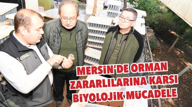 MERSİN'DE ORMAN ZARARLILARINA KARŞI BİYOLOJİK MÜCADELE