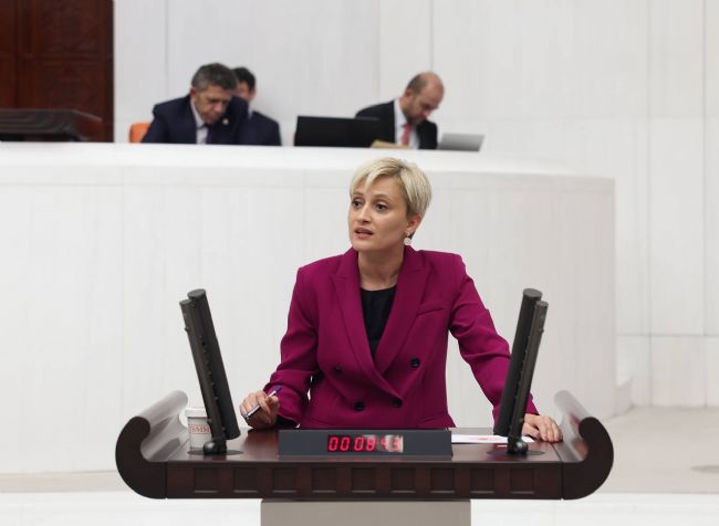 DEM’li Koca’dan OVP’ye sert tepki!