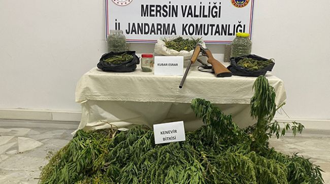 MUT’TA UYUŞTURUCU OPERASYONU