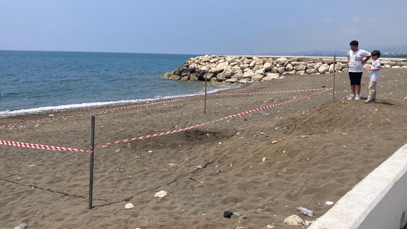koruma-alani-dişina-yuva-yapan-caretta-caretta-İçİn-şerİtlİ-tedbİr