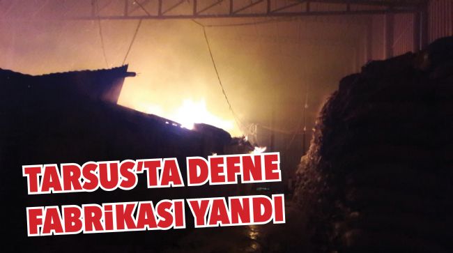 DEFNE FABRİKASI YANDI