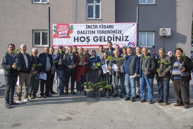 Büyükşehir sayesinde Mersin artık ‘incir’ kenti
