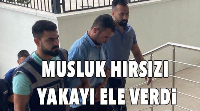 MUSLUK BATARYASI HIRSIZI YAKALANDI