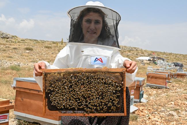 Atanamayan Seher, hayallerine arılarla uçtu