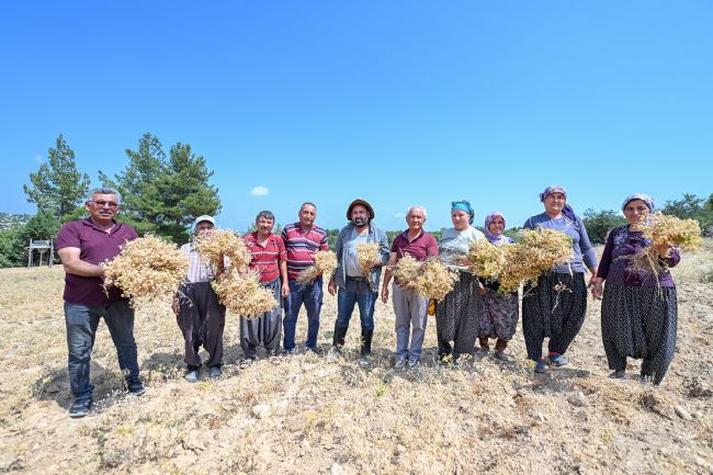 Atalık tohumlar geleceğe taşınıyor