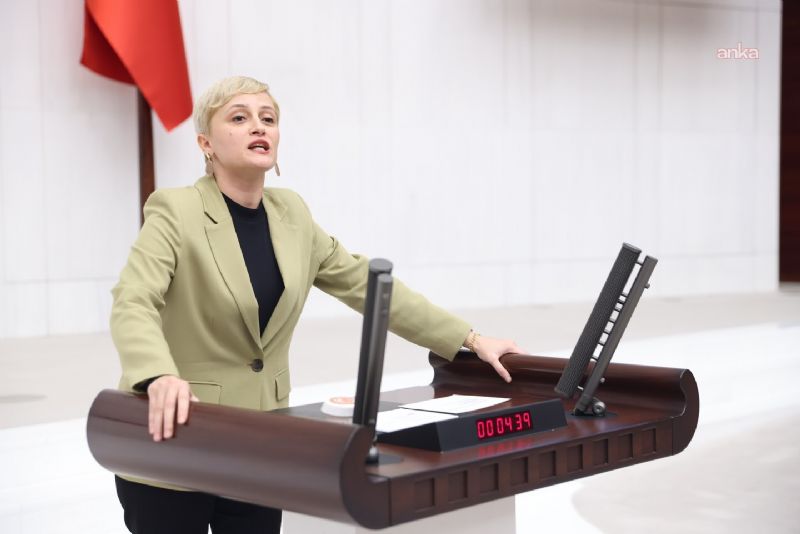 DEM PARTİLİ KOCA, NATO YASAKLARINI TBMM GÜNDEMİNE TAŞIDI