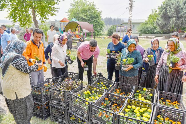 Sivrisinek ve haşere ile bitkisel mücadele