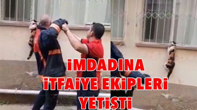PENCERE KORKULUĞUNA SIKIŞTI