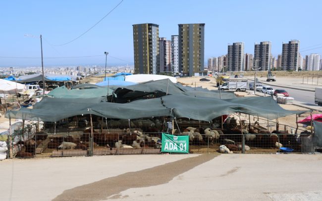 Toroslar, Kurban Bayramı’na hazır