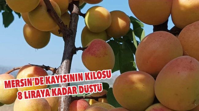 ÜRETİCİLER ENDİŞELİ
