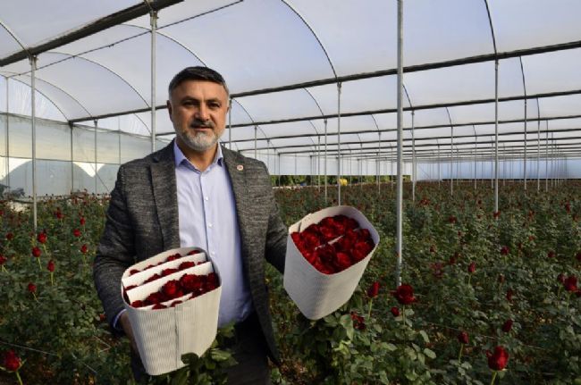 Gül Üreticilerini '14 Şubat' Telaşı Sardı