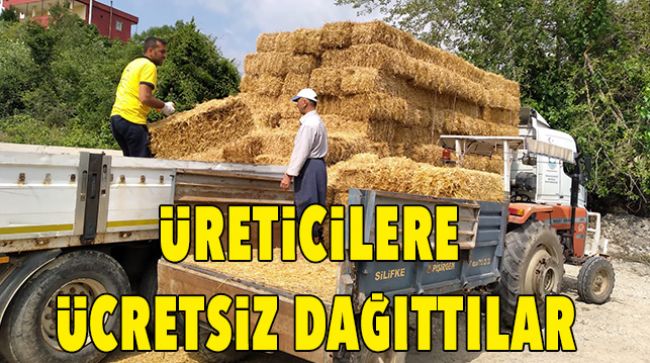 ÜRETİCİLERE ÜCRETSİZ SAMAN DAĞITILDI