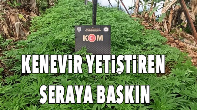 MUZ SERASI, ESRAR SERASINA DÖNÜŞMÜŞ