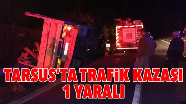 KAMYONET BARİYERLERE ÇARPARAK YAN YATTI
