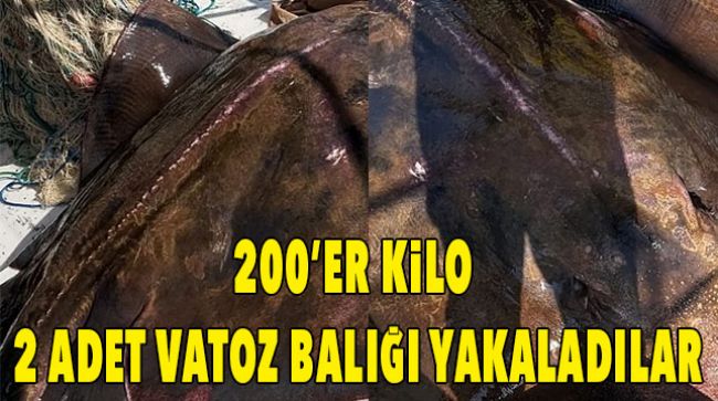 BALIKÇILAR 2 VATOZ BALIĞI YAKALADI