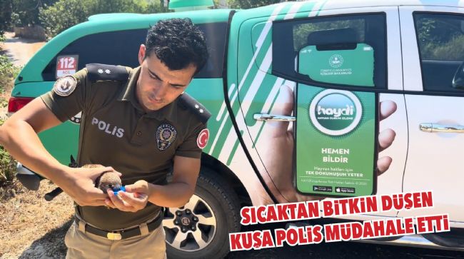 SICAKTAN ÖLMEK ÜZERE OLAN KERKENEZİ POLİS HAYATA DÖNDÜRDÜ