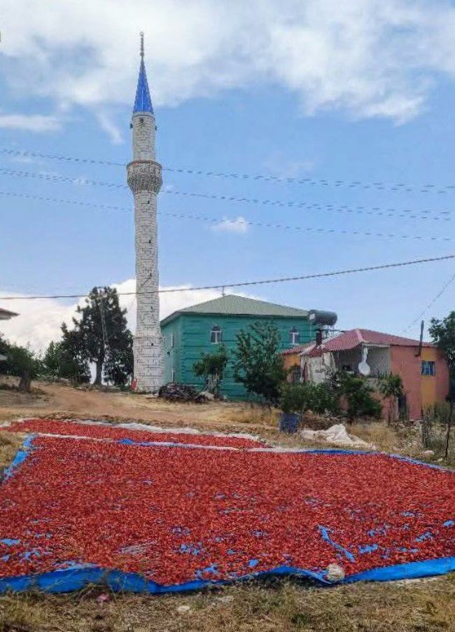 Bozyazı'dan sofralara uzanan lezzet yolculuğu