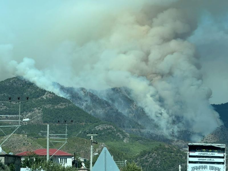 Mersin'deki orman yangını sürüyor
