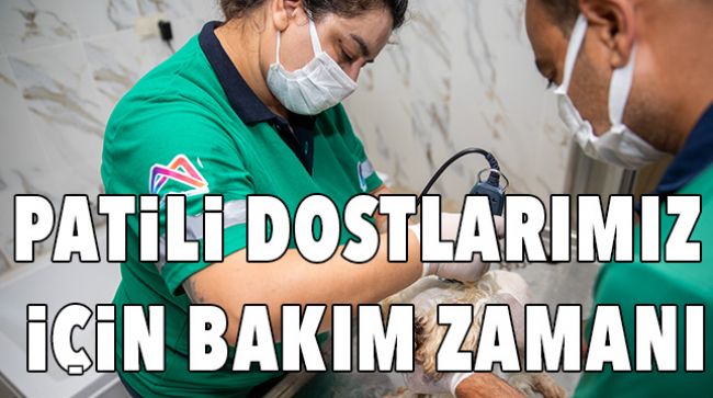 KAŞLI BAKIMEVİNDE SAHİPSİZ HAYVANLARIN BAKIMI YAPILIYOR