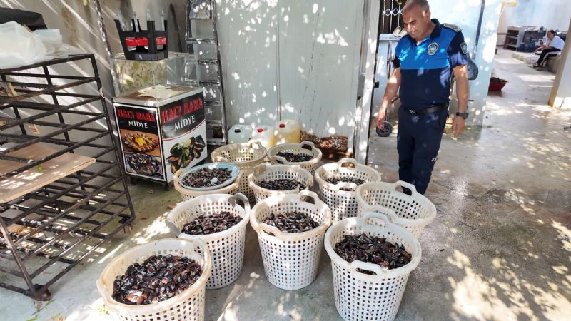 Akdeniz’de 200 kilo bozulmuş midye dolması ele geçirildi