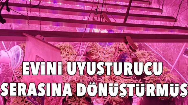 UYUŞTURUCU YETİŞTİRMEK İÇİN EVİNİ SERAYA ÇEVİRDİ