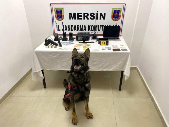 Erdemli'de uyuşturucu operasyonu