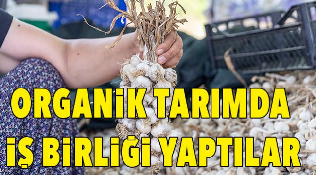 ATA TOHUMU BÜYÜKŞEHİR’DEN ÜRETİM MERSİNDEN KADIN KOOPERATİFİNDEN