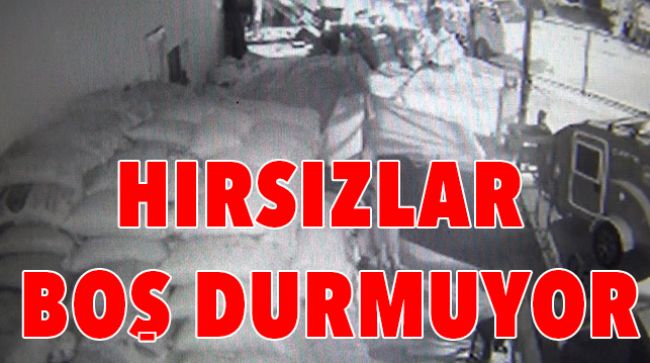 20 BİN LİRALIK HARNUP ÇALDILAR