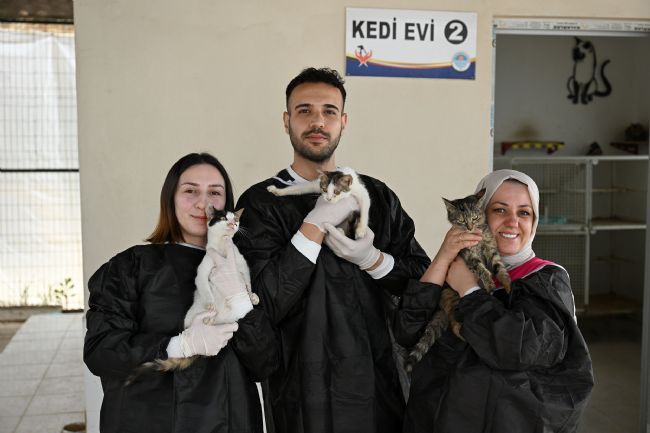 Patili Dostlarımız İçin Gönüllü İş Birliği!