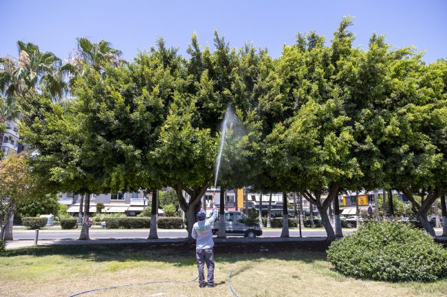 Mersin'de haşereyle kesintisiz mücadele
