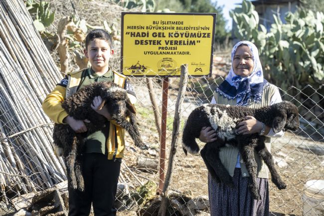 Mersin'de 360 yetiştiriciye 9 bin küçükbaş desteği