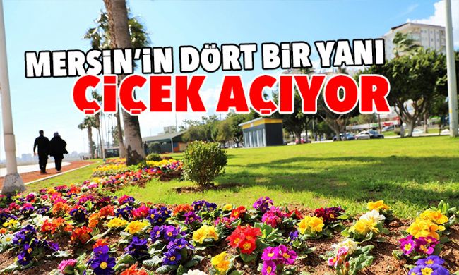 MERSİN'DE KENTİN DÖRT BİR YANI RENGARENK ÇİÇEKLERLE DONATILIYOR