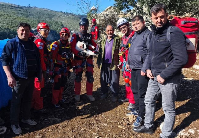 Uçurumdan düşen kuzuyu ekipler kurtardı